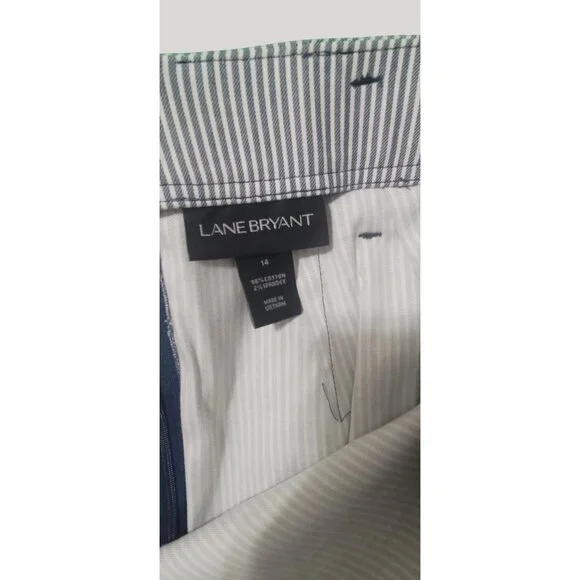 Lane Bryant Striped Pencil Skirt (SKU #2101) - Picture 7 of 7